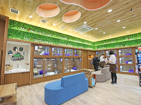 Bs job img 3 2025110510555733