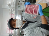 Bs job img 1 20251127145605750