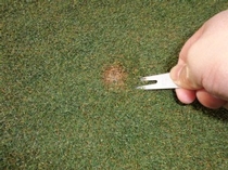 Bs job img 1 20251201140515414