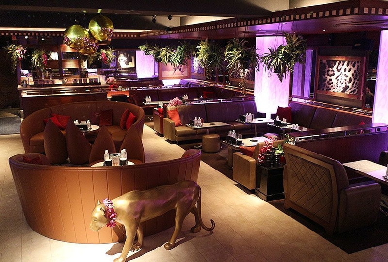 キャバクラでのフロアレディ