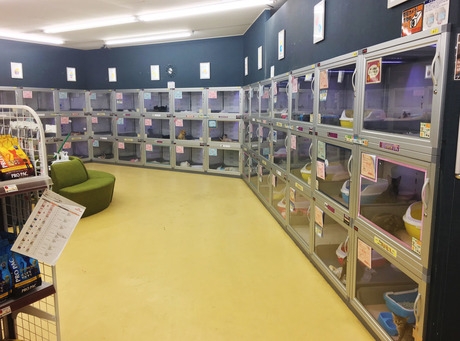 Bs job img 3 20251130235312307