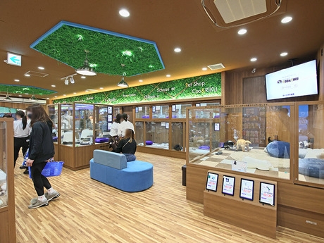 Bs job img 3 20251130235312504