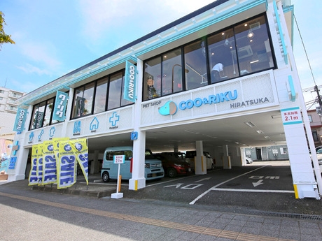 Bs job img 2 20251130235312583