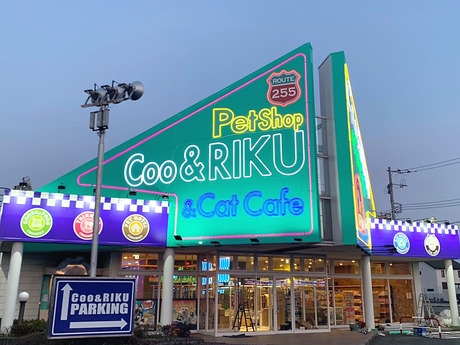 Bs job img 2 20251130235312672