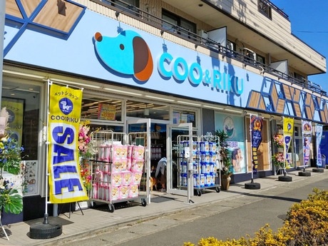 Bs job img 2 20251130235312809