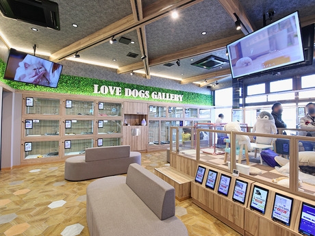 Bs job img 3 20251130235313290