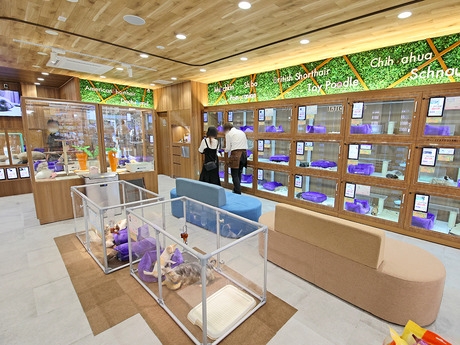 Bs job img 3 20251130235313314