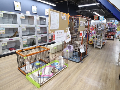 Bs job img 3 20251130235313362