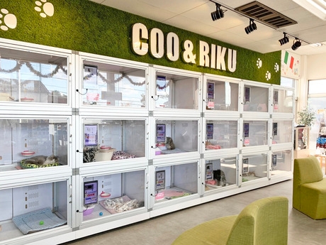 Bs job img 3 2025113023532494