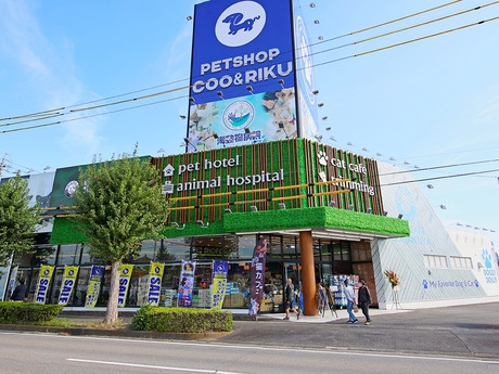 Bs job img 2 20251130235324145