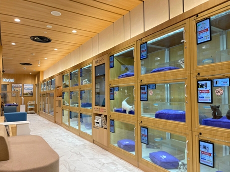 Bs job img 3 20251130235328192