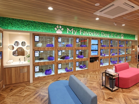 Bs job img 3 20251130235328537