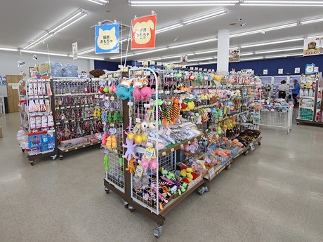 Bs job img 3 20251130235328641