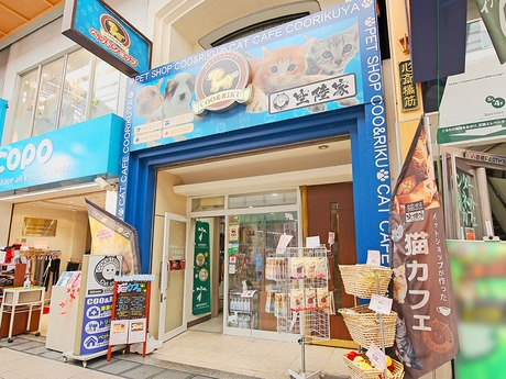 Bs job img 2 20251130235328666