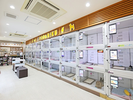 Bs job img 3 20251130235328666