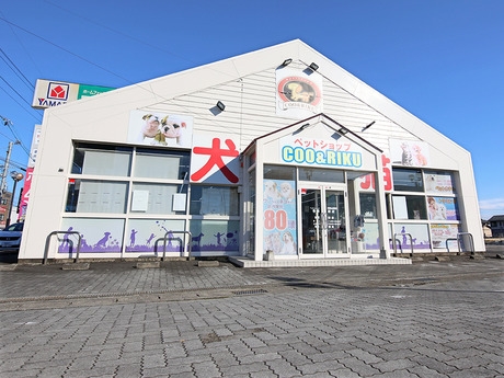 Bs job img 2 20251130235328689