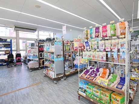 Bs job img 3 20251130235328689