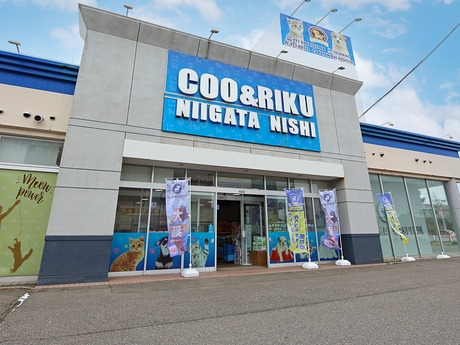 Bs job img 2 20251130235328712