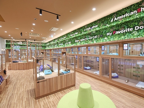 Bs job img 3 20251130235328875