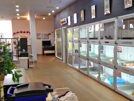 Bs job img 3 20251130235328995