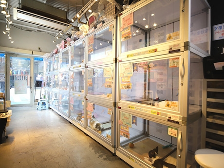 Bs job img 3 2025113023532923