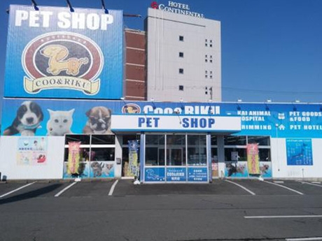 Bs job img 2 20251130235330189