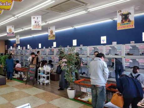 Bs job img 3 20251130235330189