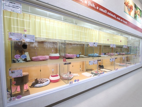 Bs job img 3 20251130235333394