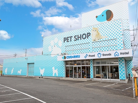 Bs job img 2 20251130235334477