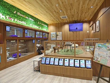 Bs job img 3 20251210204754589