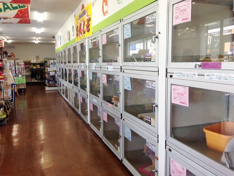 Bs job img 3 20251130235345395