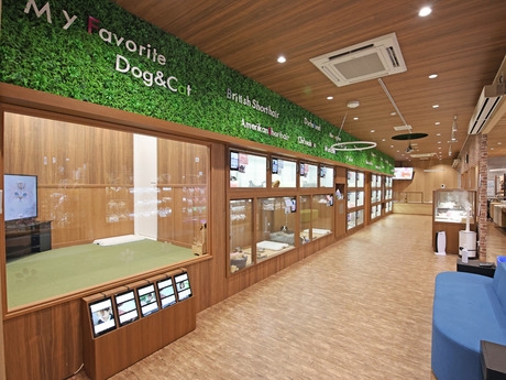 Bs job img 3 20251130235345418