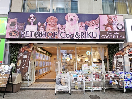 Bs job img 2 20251130235345978