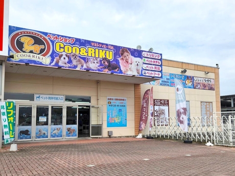 Bs job img 2 2025113023534633