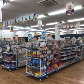 Bs job img 3 2025113023534633