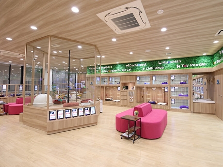 Bs job img 3 2025113023534656