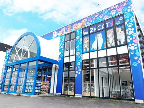 Bs job img 2 20251130235356626