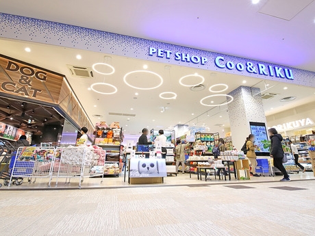 Bs job img 2 20251130235356722