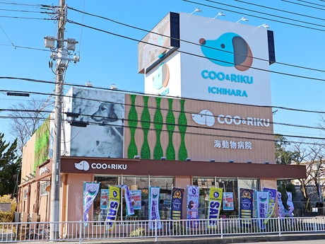 Bs job img 2 20251130235357744