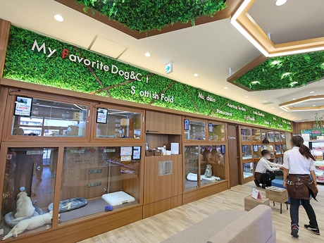 Bs job img 3 20251130235357744