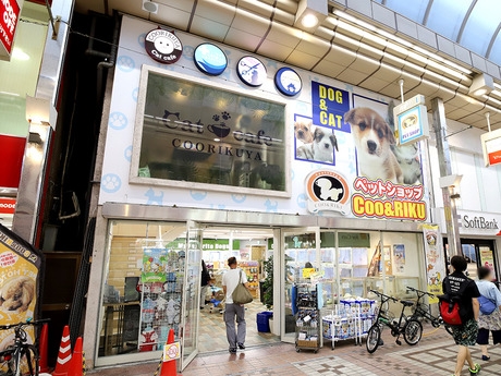 Bs job img 2 20251130235358220