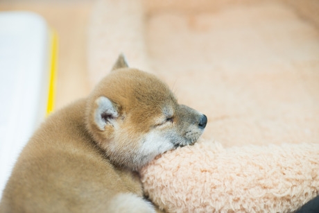 Bs job img 2 20251130235359392