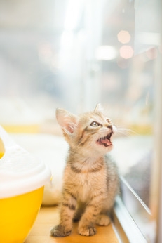 Bs job img 3 20251130235359392