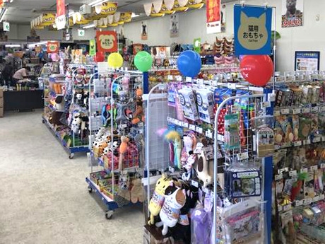 Bs job img 3 20251130235400217