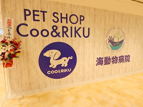 Bs job img 2 20251130235417780