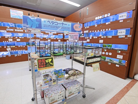 Bs job img 3 20251130235422749