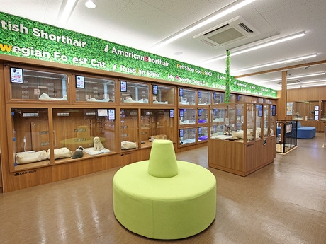 Bs job img 3 20251130235423942