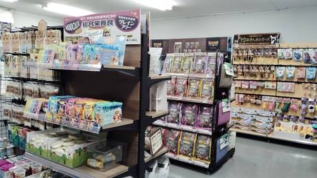 Bs job img 3 20251130235428251