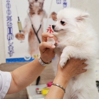 Bs job img 3 20251130235446644