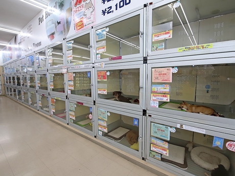 Bs job img 3 20251130235448556